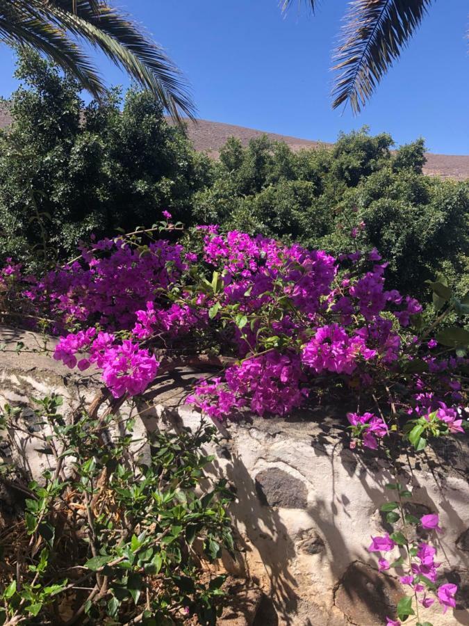 Los Tunos Campo Internacional Villa Maspalomas  Luaran gambar